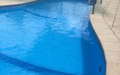 accessible pool with dolphin hoist