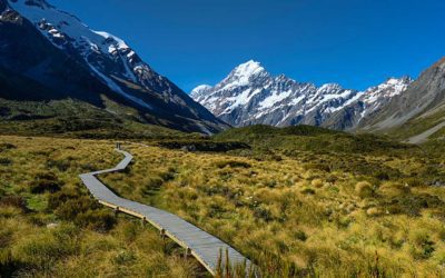 Wheelchair & Accessible Touring New Zealand