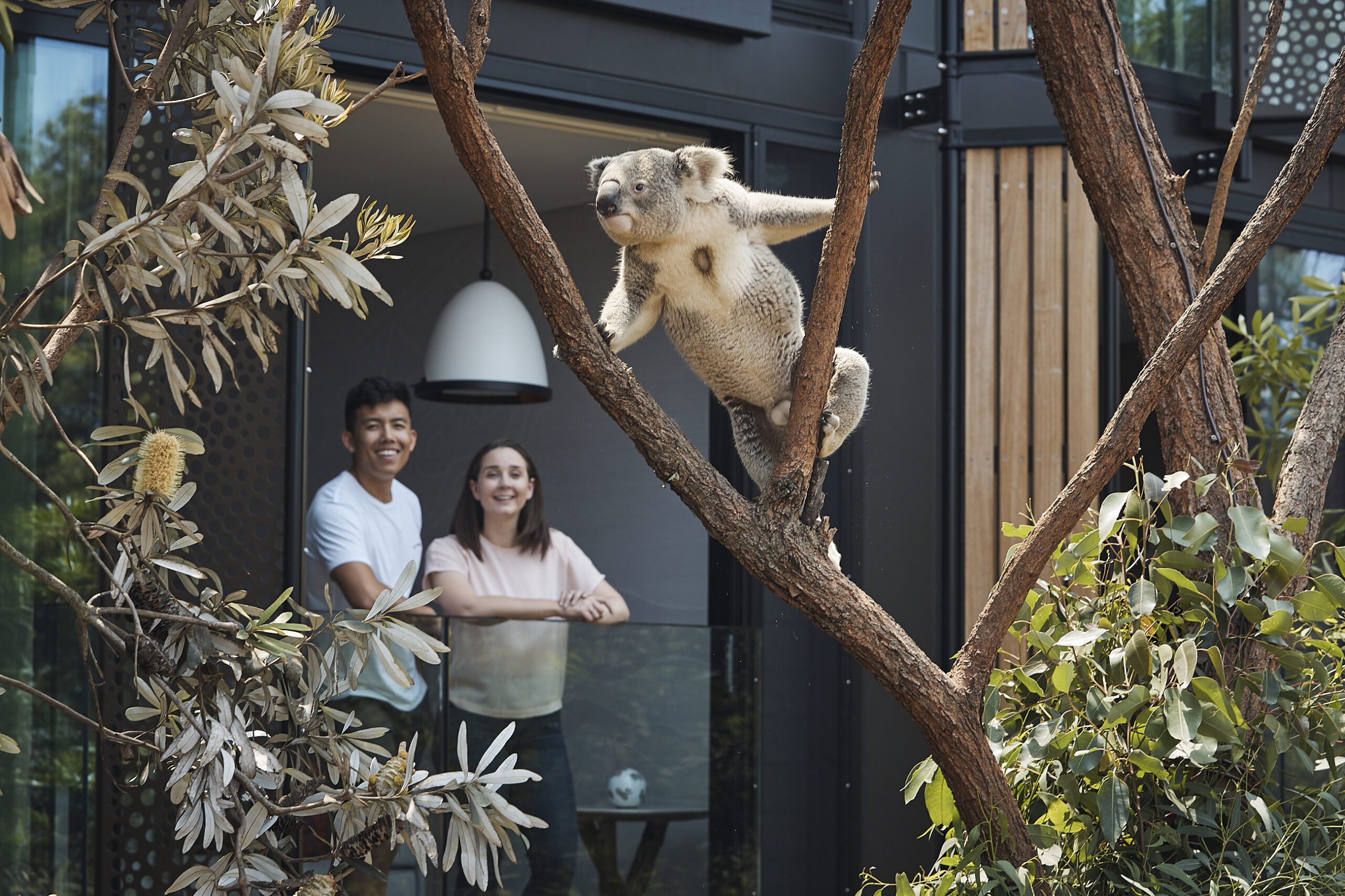 Wildlife Retreat at Taronga Zoo Accessible Accommodation Sydney